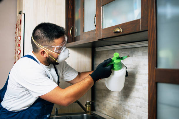 Best Affordable Pest Control Services  in Granite Quarry, NC