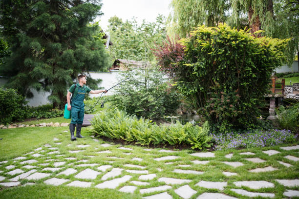 Best Wasp Removal Services  in Granite Quarry, NC