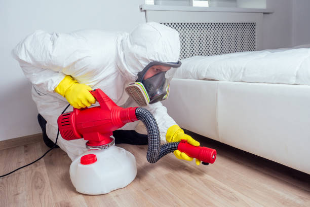 Best Local Pest Control Services  in Granite Quarry, NC
