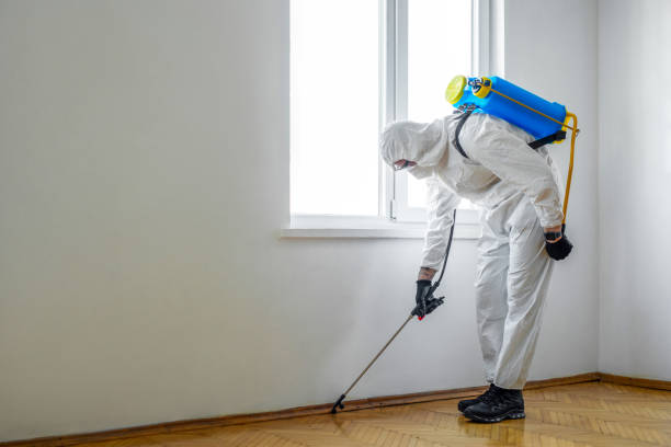 Insect Control in Granite Quarry, NC