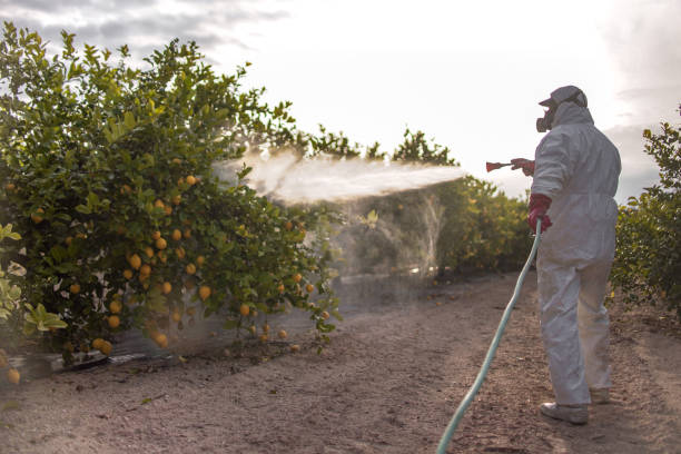 Best Affordable Pest Control Services  in Granite Quarry, NC