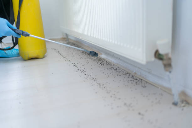 Best Rat Extermination Near Me  in Granite Quarry, NC