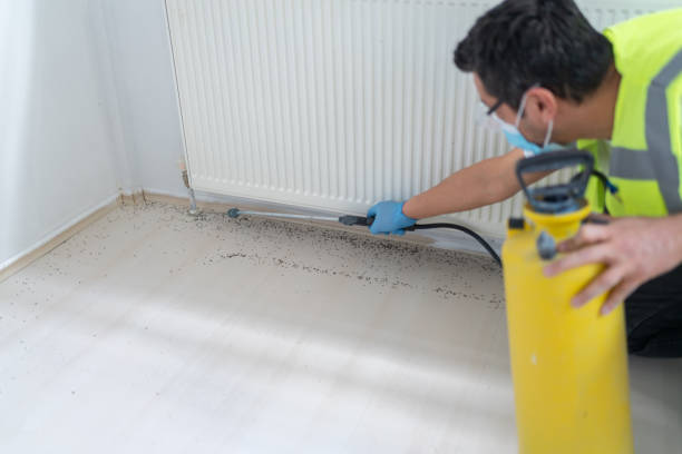 Best Pest Control Near Me  in Granite Quarry, NC